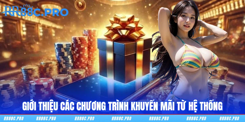 Giới thiệu RR88 các chương trình khuyến mãi từ hệ thống Giới thiệu RR88 các chương trình khuyến mãi từ hệ thống